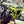 Load image into Gallery viewer, Backwoods BMP Axys Front Bumper