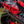 Load image into Gallery viewer, Backwoods BMP Arctic Cat/Yamaha Rear Bumper (Ascender Chassis)