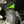 Load image into Gallery viewer, CR Racing Polaris Boost Cold Air Intake
