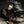 Load image into Gallery viewer, Xero Composites Ski-Doo Gen 5 Viper Hood

